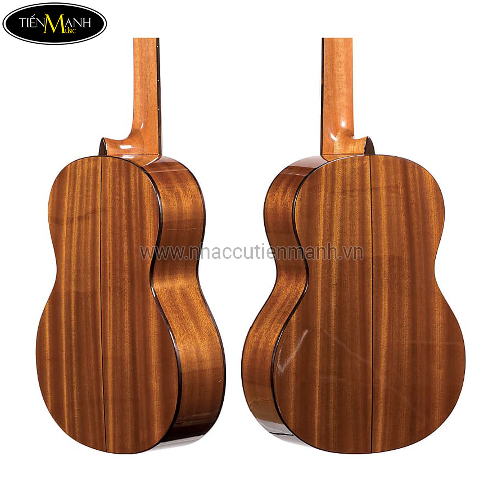 dan-guitar-classic-cordoba-c5-sp-3