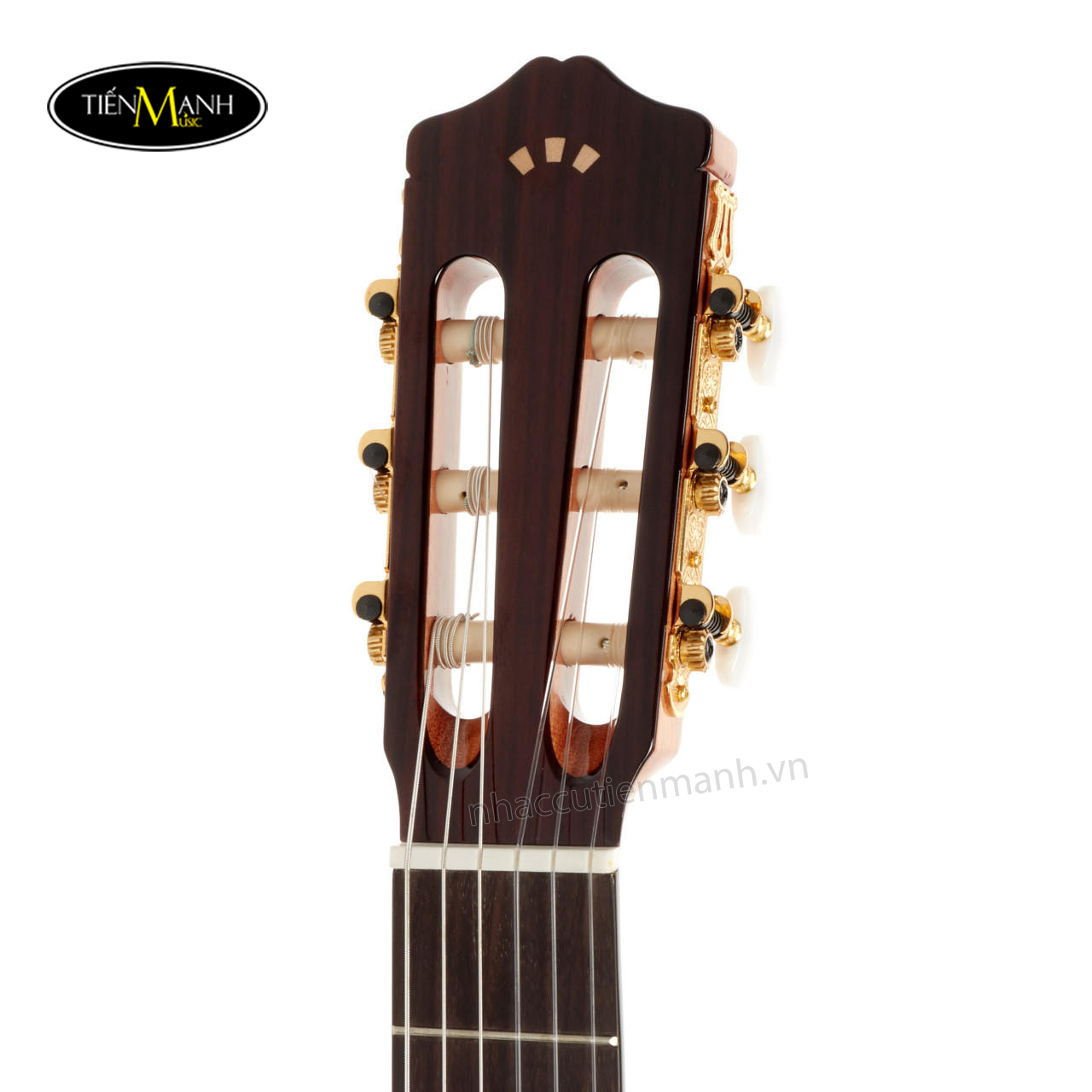 dan-guitar-classic-cordoba-c5-sp