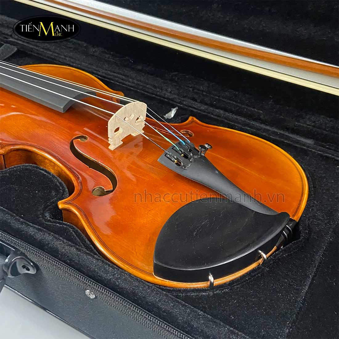 Đàn Violin Scott & Guan 017N Size 4/4 - Nhạc Cụ Tiến Mạnh