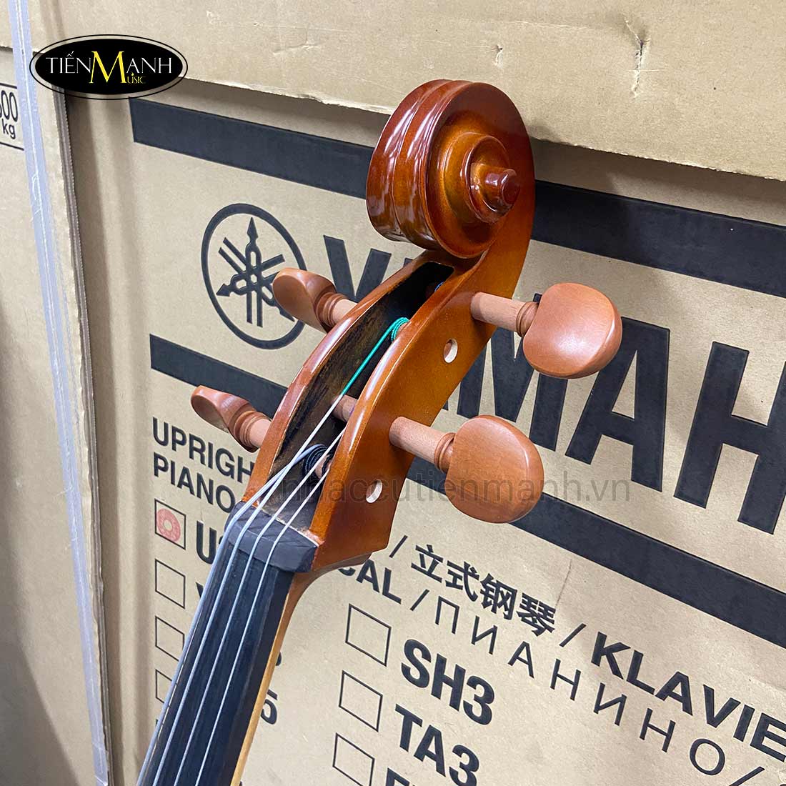 Đàn Cello Scott Guan 140 size 24 34 44