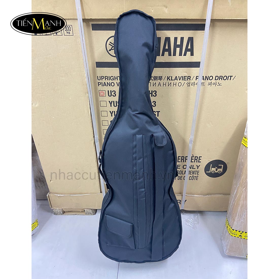 Đàn Cello Scott Guan 140 size 24 34 44