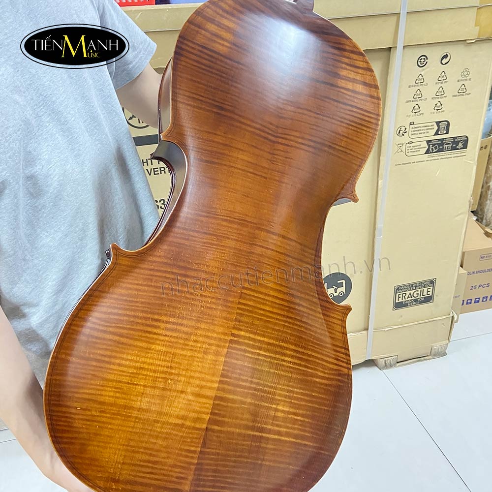 dan-cello-amati-cb310-3-4