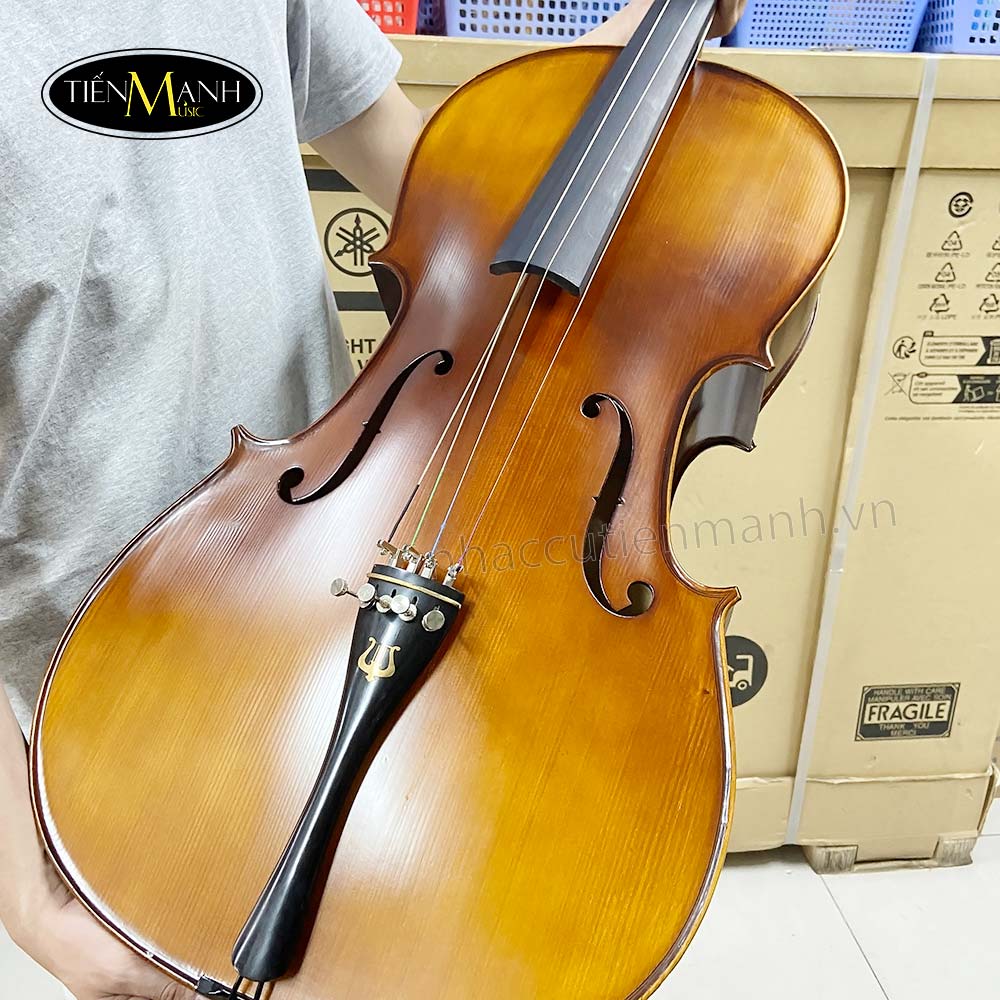 dan-cello-amati-cb310-3-4