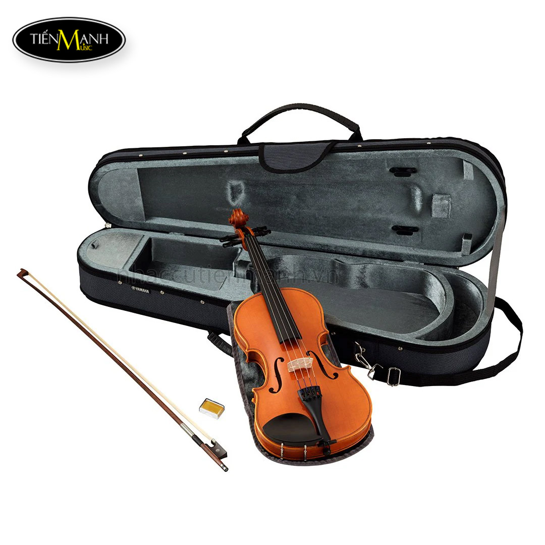 dan-violin-yamaha-v5sc
