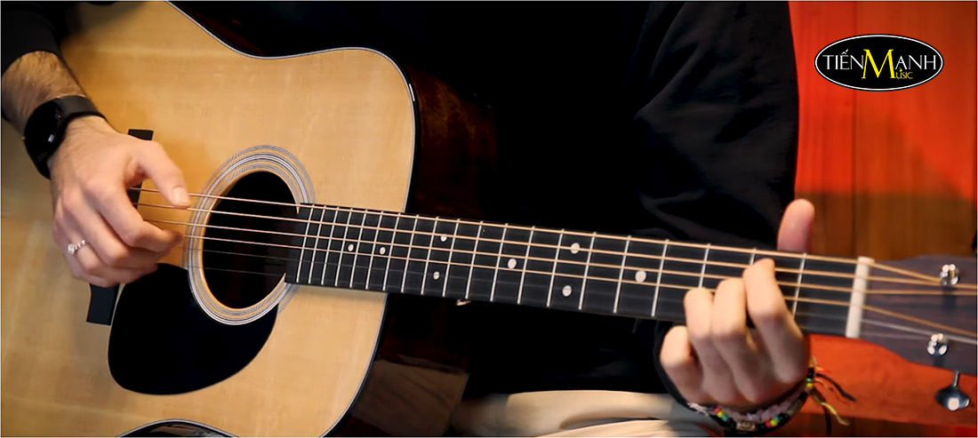 đàn guitar acoustic martin d12-01 sapele