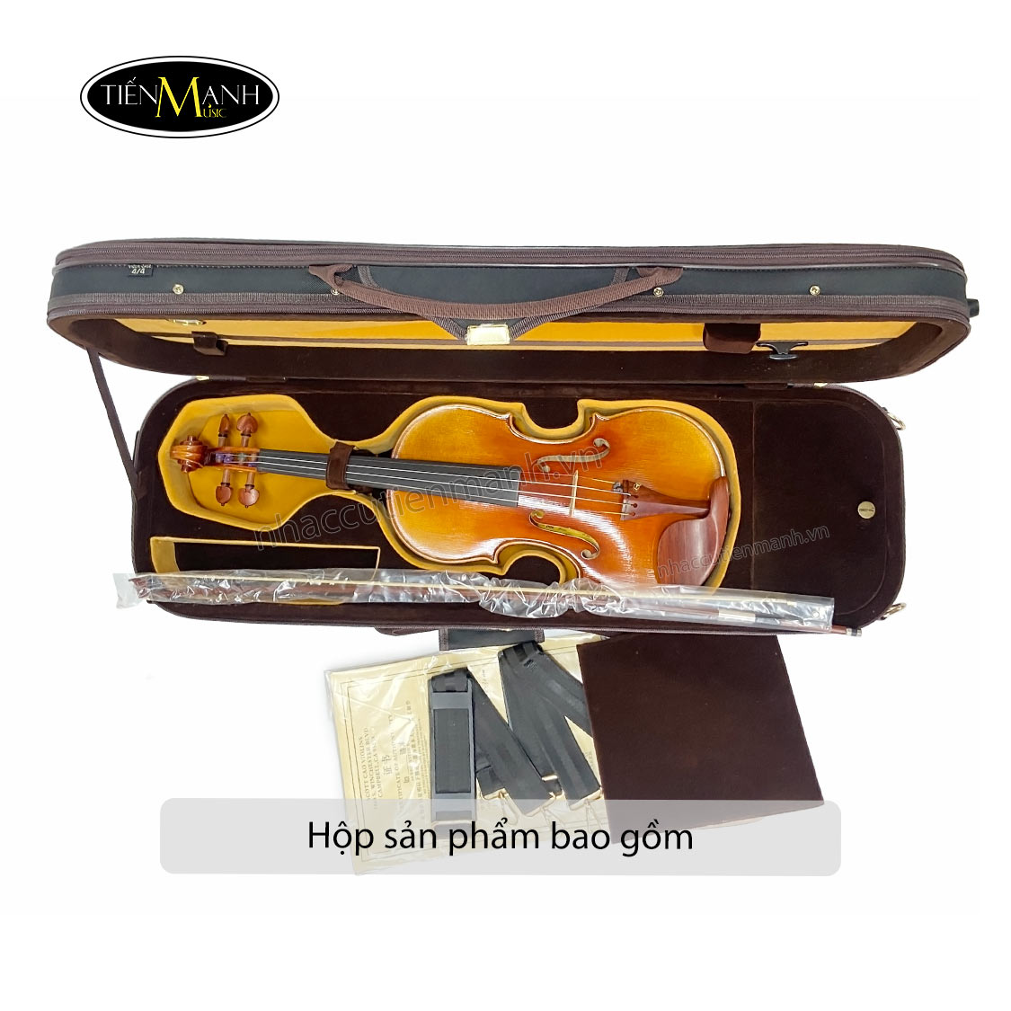 Đàn Violin Scott Cao STV1000 Cannon 1743