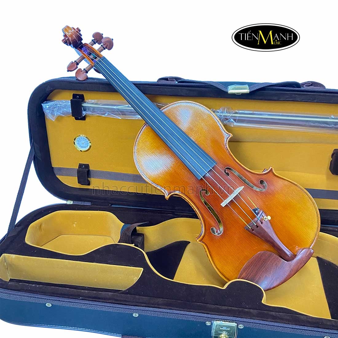 Đàn Violin Scott Cao STV1000 Cannon 1743