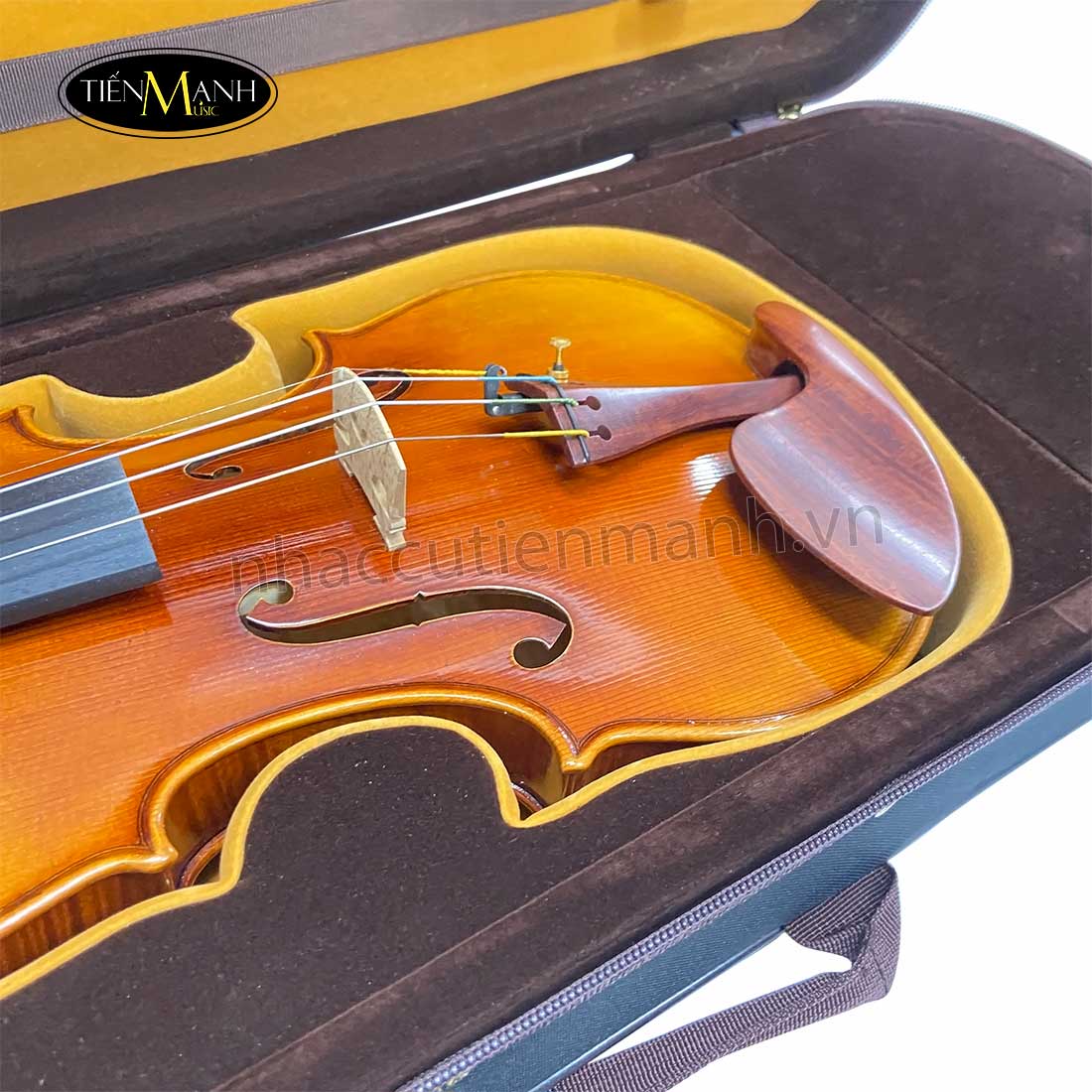 Đàn Violin Scott Cao STV1000 Cannon 1743