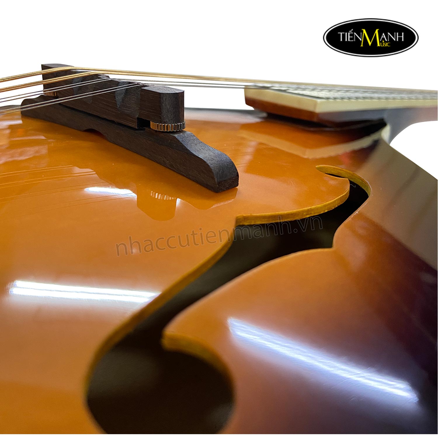 dan-mandolin-amati-smd-001