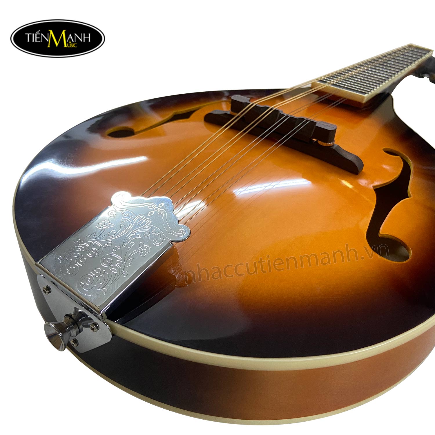 dan-mandolin-amati-smd-001