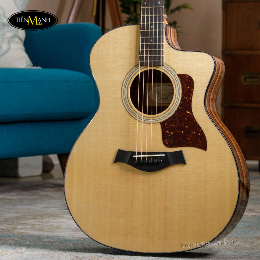 dan-guitar-acoustic-taylor-214ce-plus-w-bag