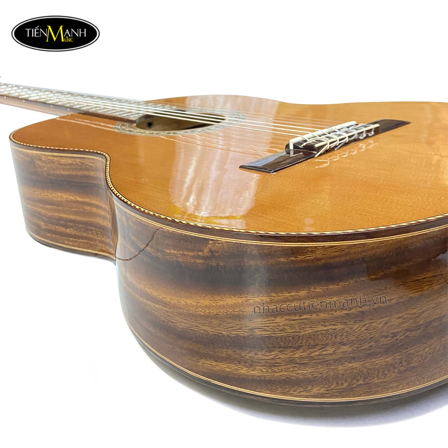 dan-guitar-classic-ba-don-c550-diep