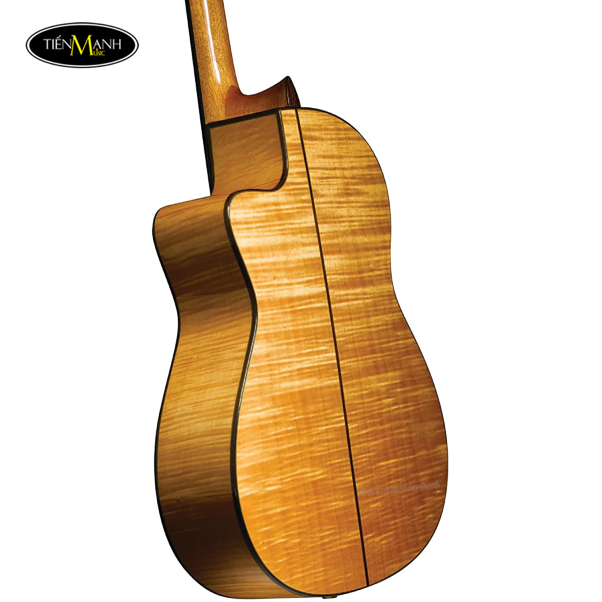 dan-guitar-classic-cordoba-fusion-12-maple