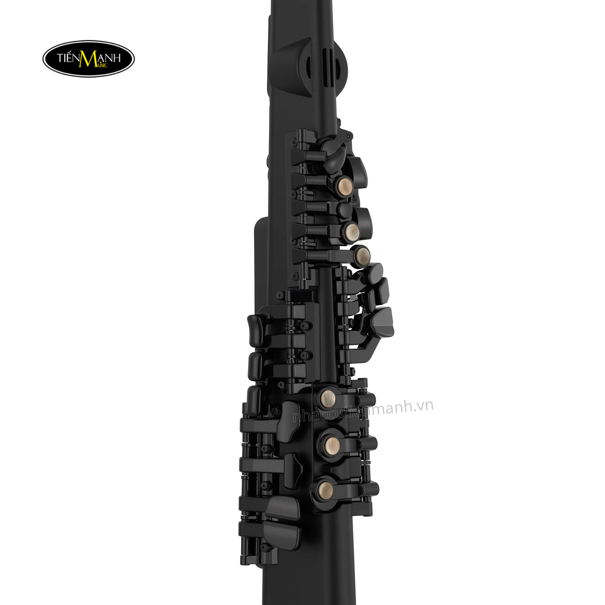 Ken-Saxophone-Dien-Tu-Yamaha-YDS-120-1.jpg