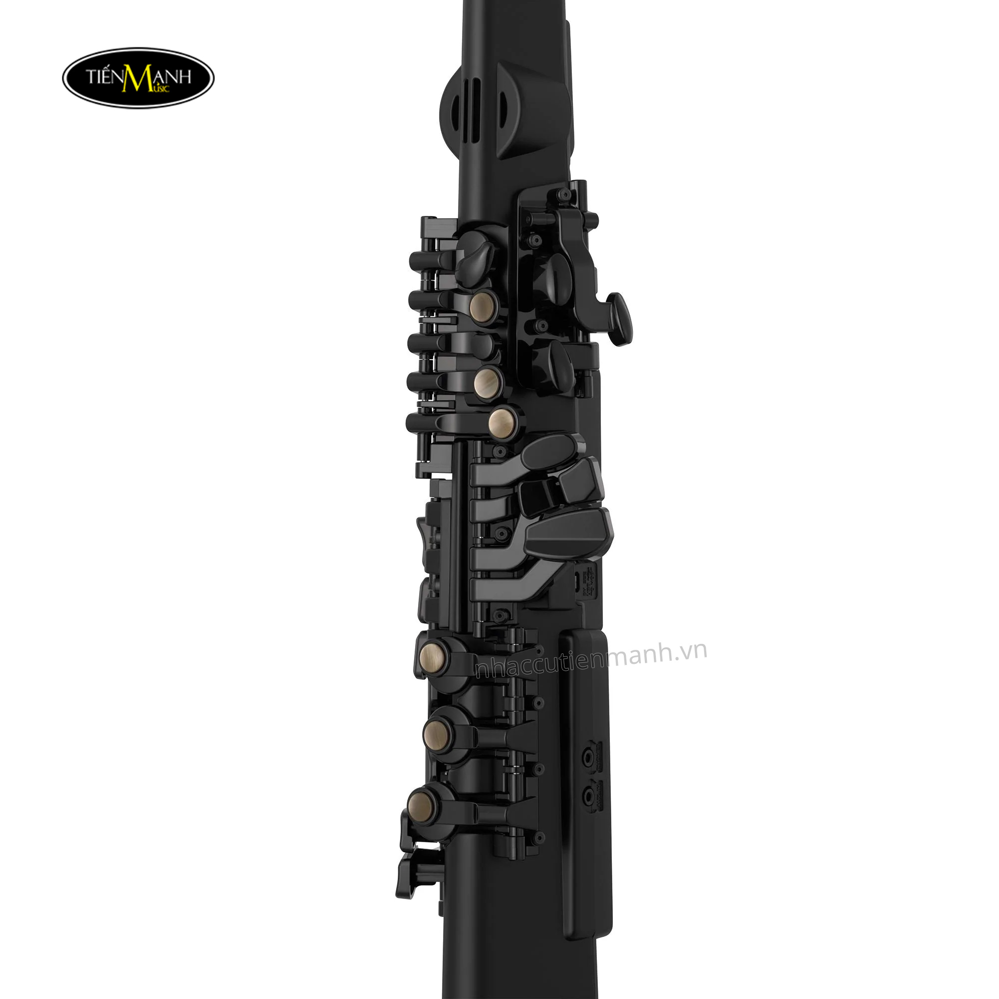 Ken-Saxophone-Dien-Tu-Yamaha-YDS-120-1.jpg