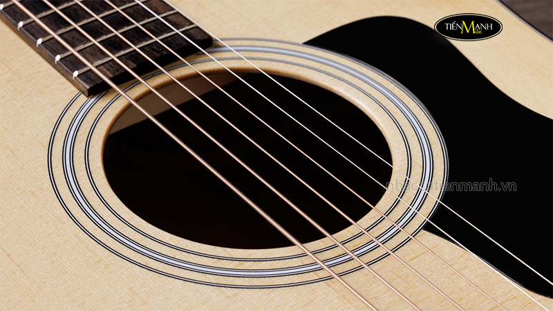 dan-guitar-acoustic-taylor-110ce-s-w-softshell-case-3.