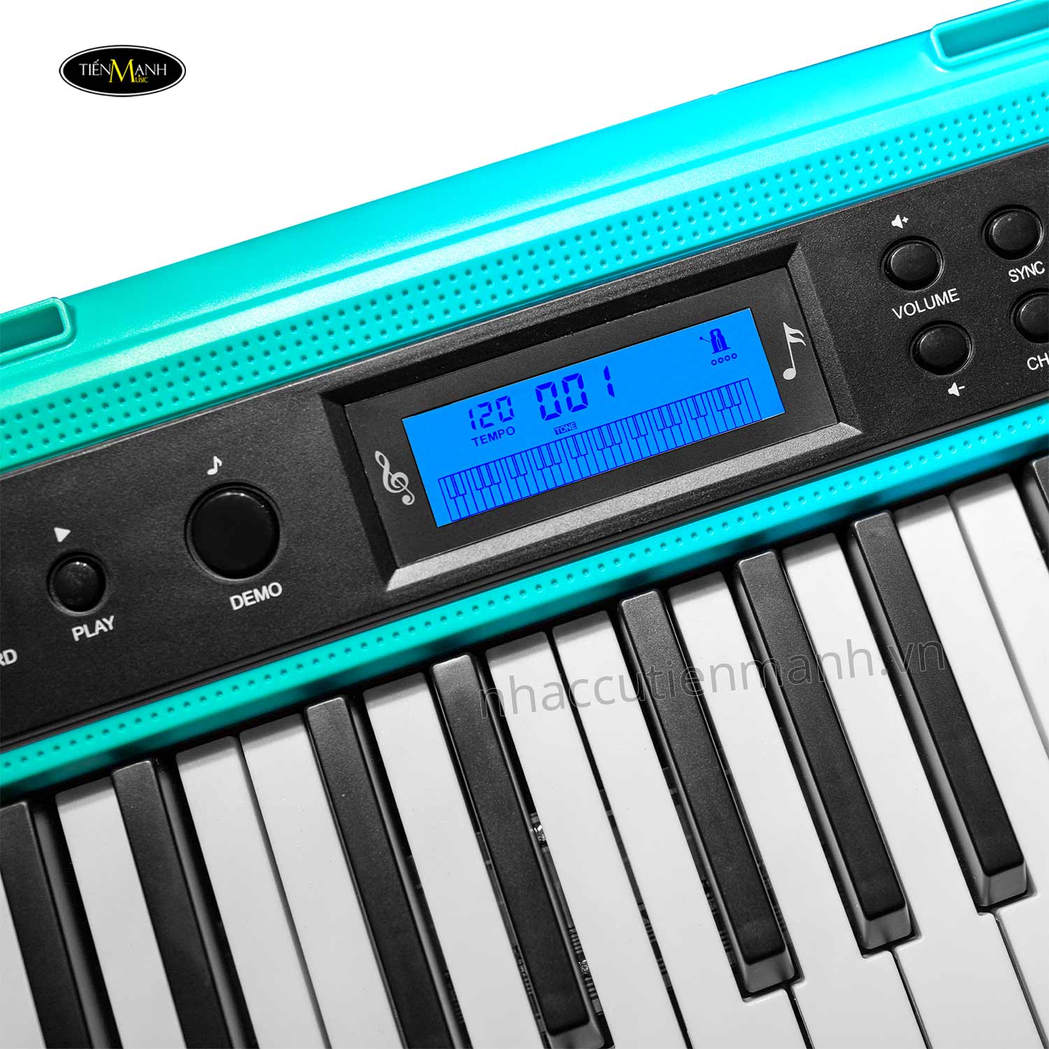 dan-organ-kurtzman-k100-portable-keyboard-24.jpg
