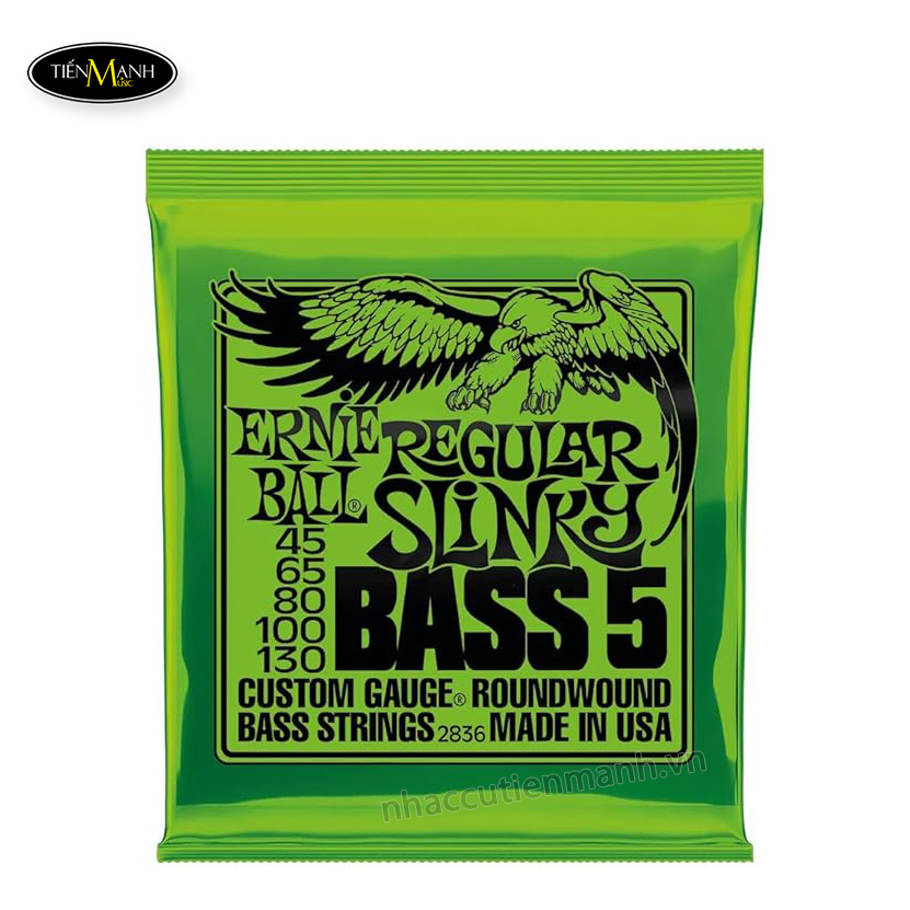 day-dan-guitar-bass-5-string-ernie-ball-2836-45-105-regular-slinky-nickel