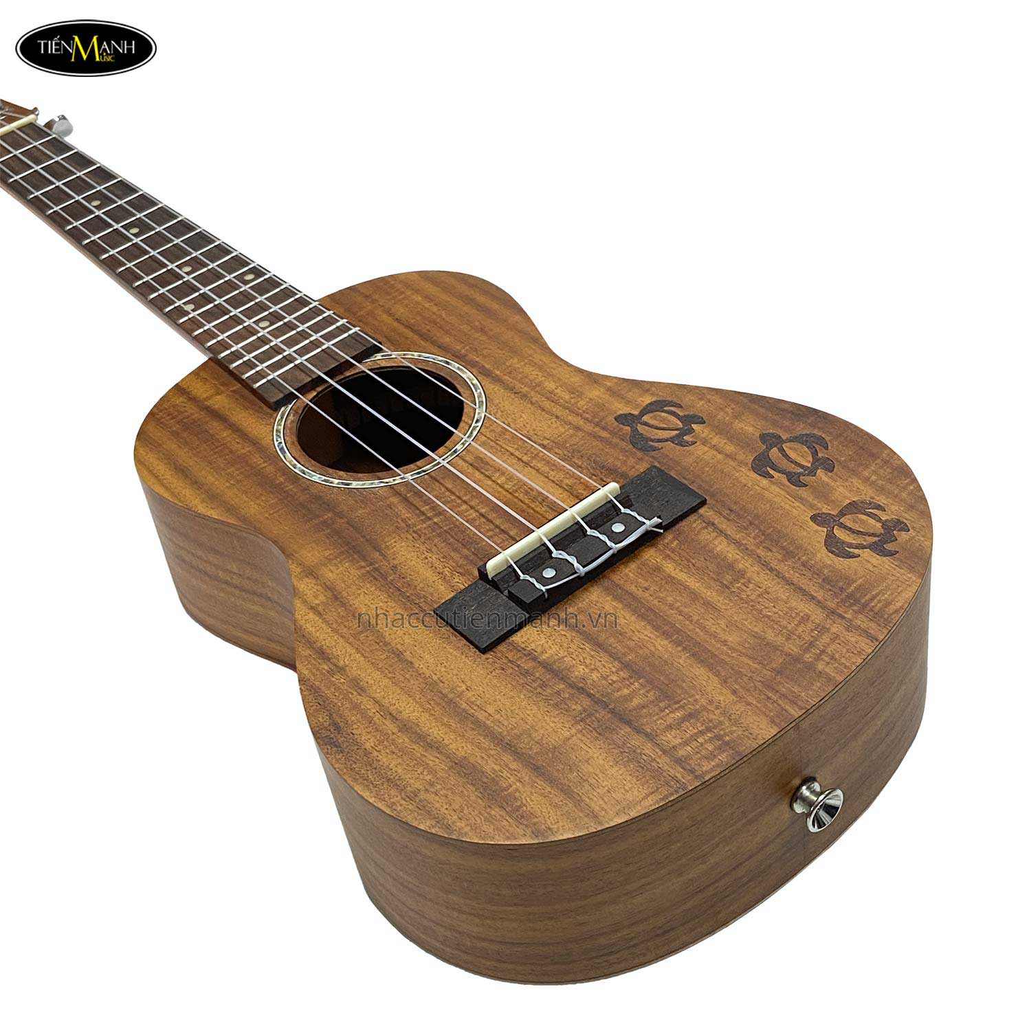 dan-ukulele-concert-2373-kem-tui-size-23
