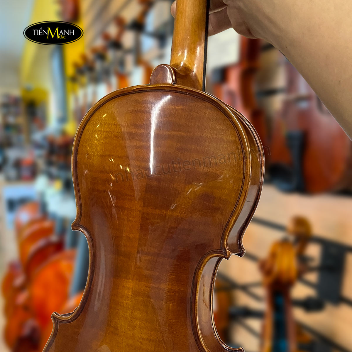dan-violin-scott-guan-017a-size-4-4-9-9.