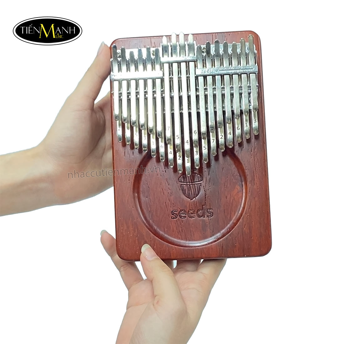 dan-kalimba-seeds-34-phim-1.j