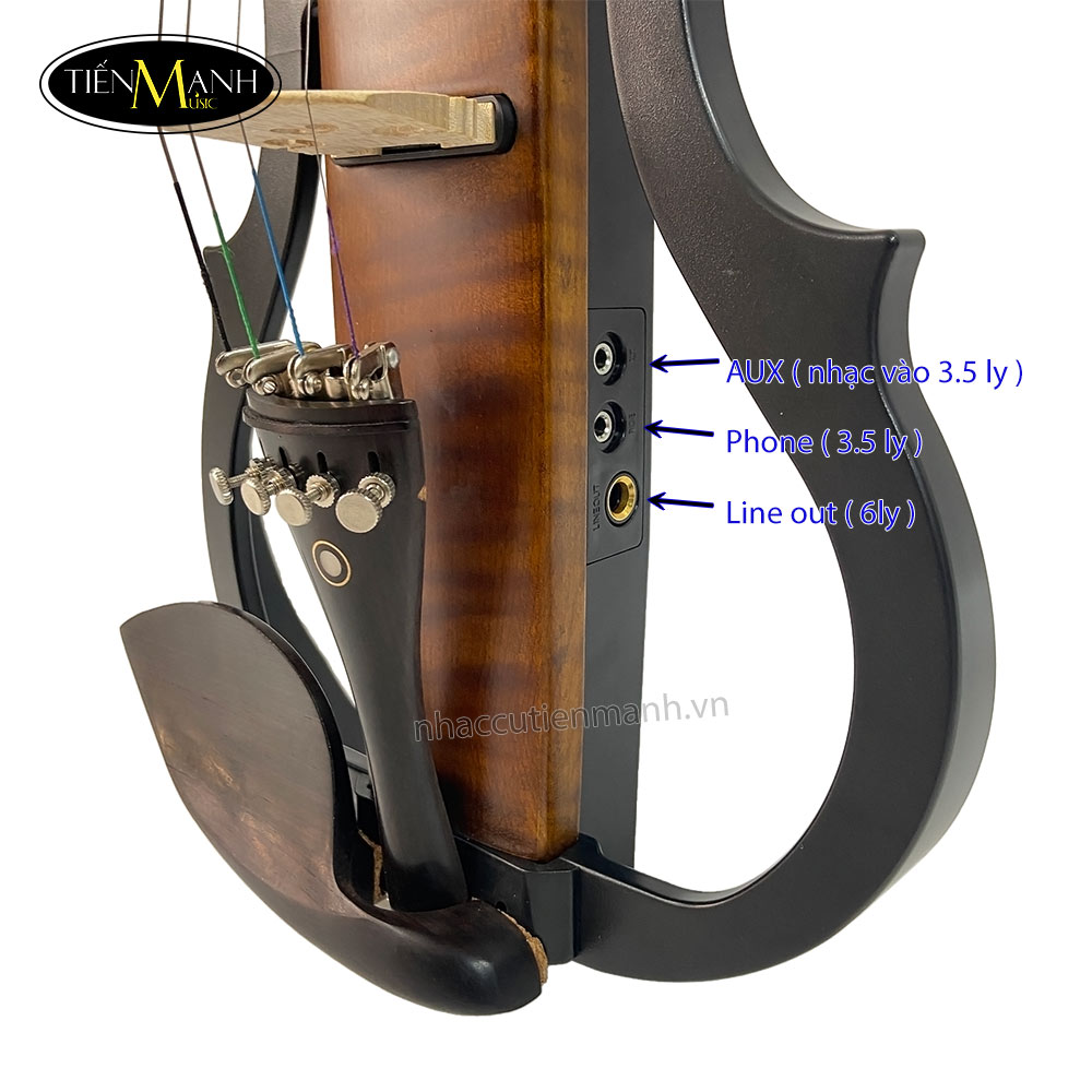 dan-violin-dien-hallmark-uk-eva10-31.