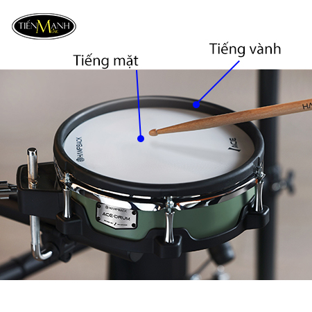 Trống Điện Tử HAMPBACK ACE-750, Electronic Drums