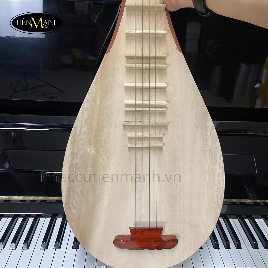 Đàn Tỳ Bà Gỗ Hương Không Khảm TBHBS5500