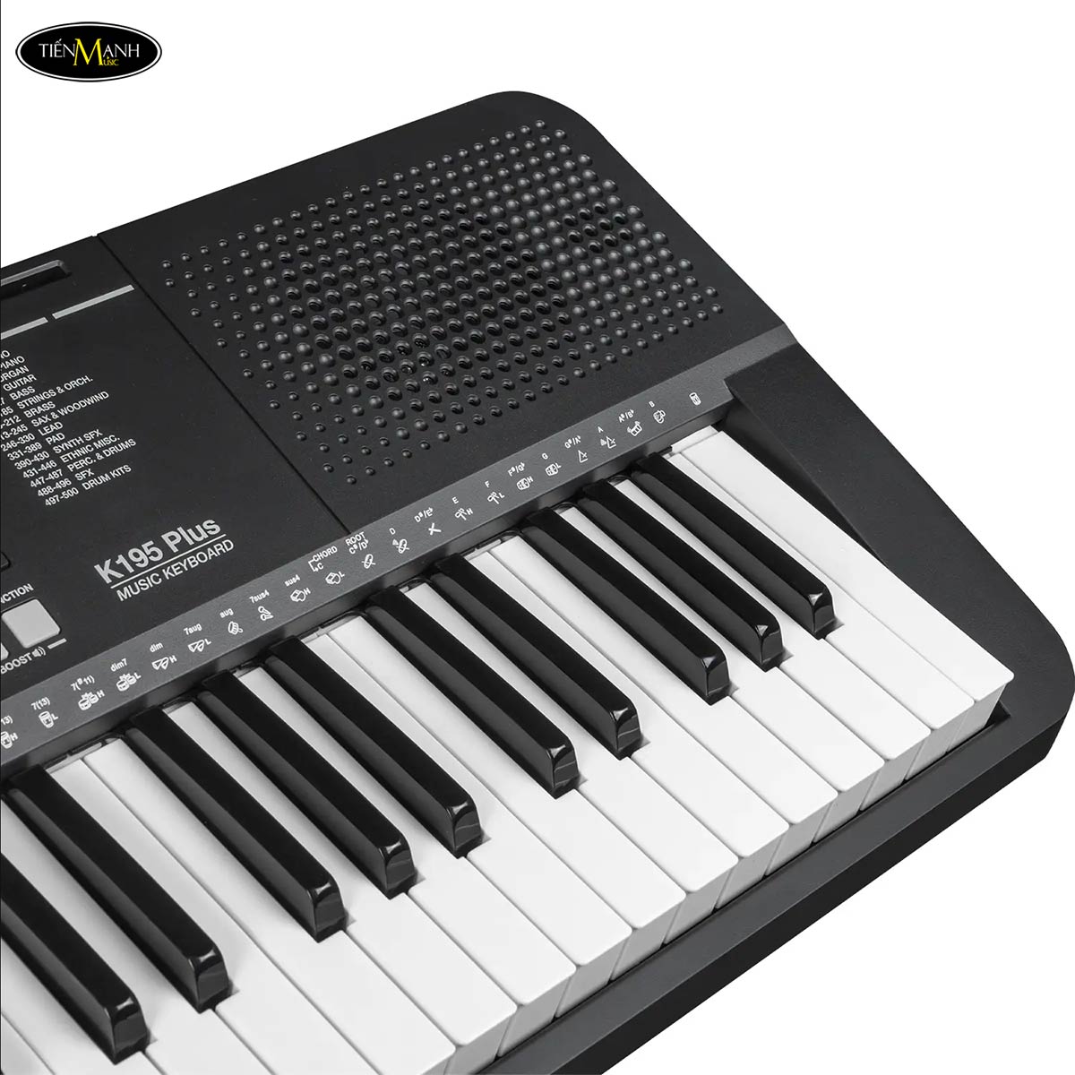 dan-organ-61-phim-kurtzman-k195-plus
