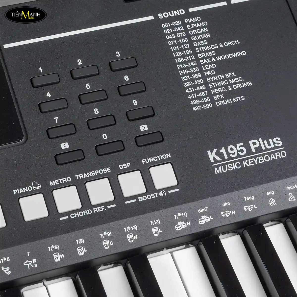 dan-organ-61-phim-kurtzman-k195-plus