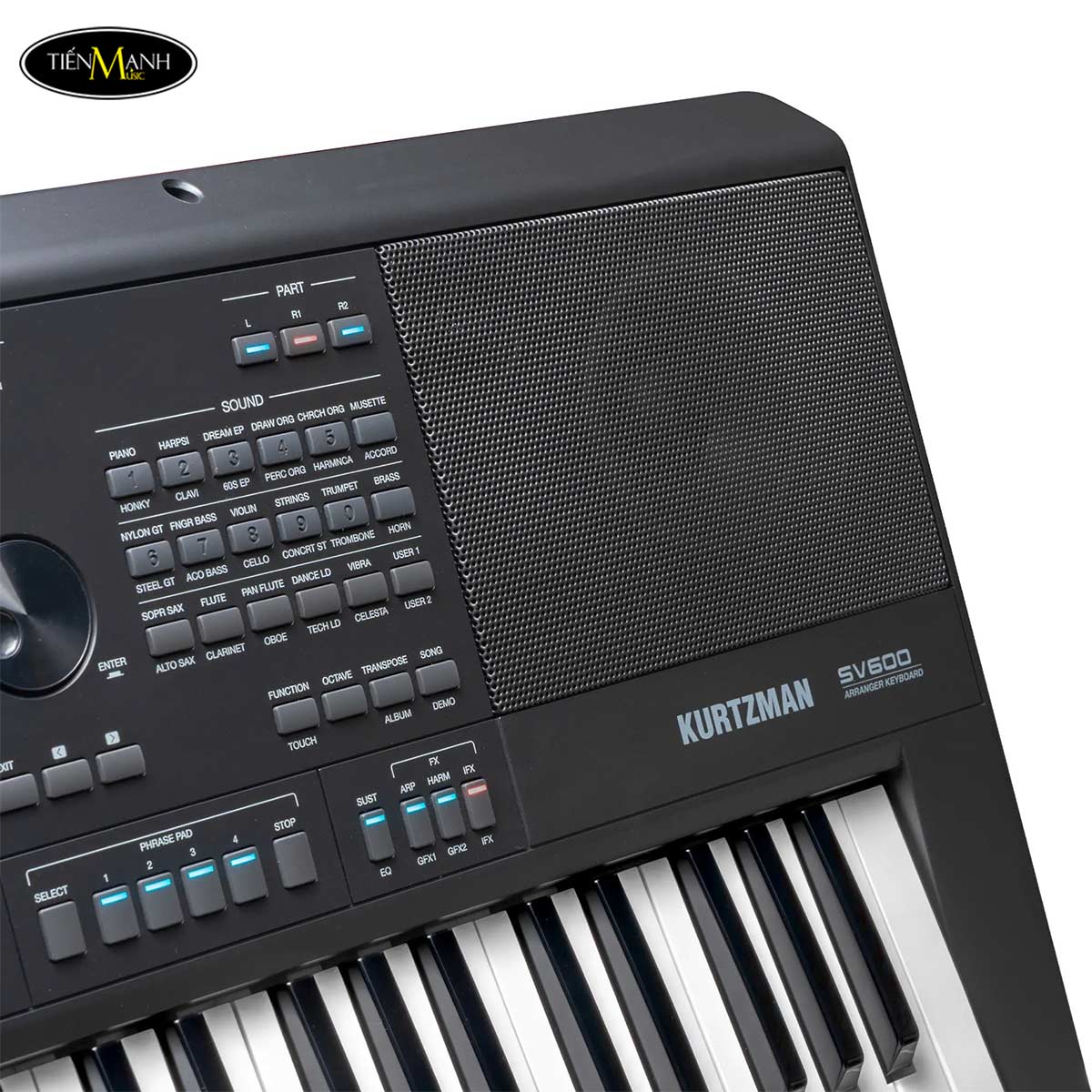 dan-organ-kurtzman-sv600