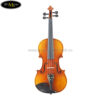 Carlo giordan Violin (6)