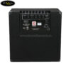amply-dan-guitar-bass-eden-ec210-e (4)