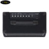 amply-dan-roland-kc-200 (3)