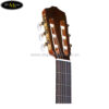 can-dan-guitar-classic-cordoba-c5-ce-sp (3)