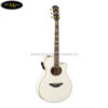 dan-acoustic-guitar-yamaha-apx1000 (2)