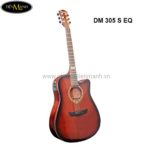 Đàn Guitar Acoustic Dream Maker 305S EQ