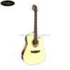Đàn Guitar Acoustic Dream Maker DM-307 EQ