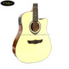dan-guitar-acoustic-dream-maker-307ce (3)