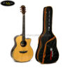 Đàn Guitar Acoustic Dream Maker DM-1 + (Bao)