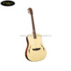dan-guitar-acoustic-dream-maker-dm-100 (4)
