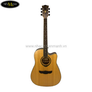 Đàn Guitar Acoustic Dream Maker DM-301