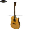 dan-guitar-acoustic-dream-maker-dm-301 (2)