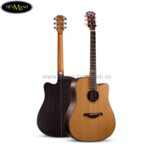 Đàn Guitar Acoustic Famosa D-5CU NS
