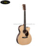 Đàn Guitar Acoustic Martin OMCPA4