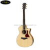 dan-guitar-acoustic-taylor-414ce (1)