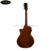 dan-guitar-acoustic-taylor-612ce (2)