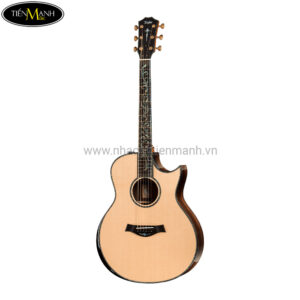 Đàn Guitar Acoustic Taylor PS16ce