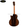 dan-guitar-acoustic-taylor-ps16ce (2)