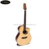 dan-guitar-acoustic-taylor-t650